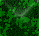 Textures 129